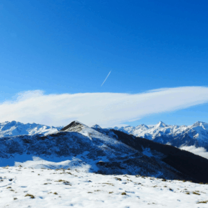 Nieuwjaarscursus - conversatie B1 - dinsdagochtend