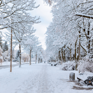 Nieuwjaarscursus - niveau A1a - dinsdagavond