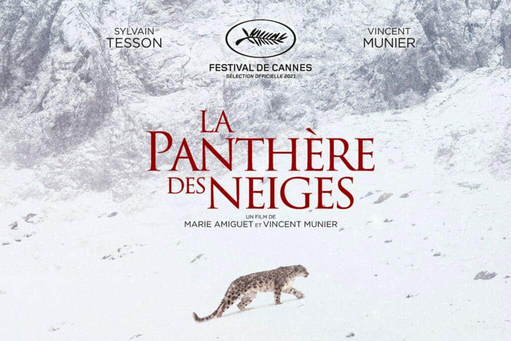 panthere-neige-affiche