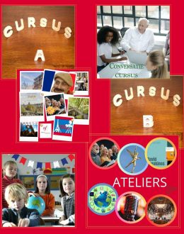 Cursussen 2025-2026