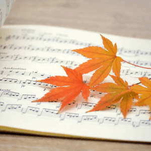 Les Voix Musicales