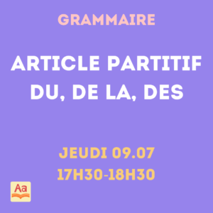 Grammaire : Article "du", "de la", "des"