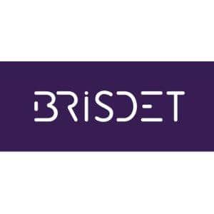 Brisdet